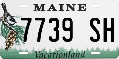 ME license plate 7739SH