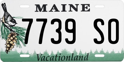 ME license plate 7739SO