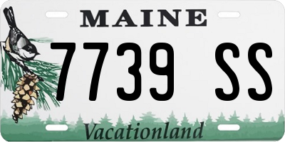 ME license plate 7739SS