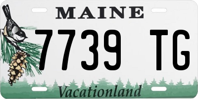 ME license plate 7739TG
