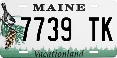 ME license plate 7739TK