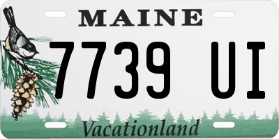 ME license plate 7739UI