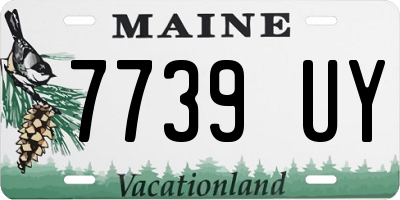 ME license plate 7739UY