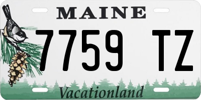 ME license plate 7759TZ