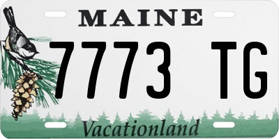 ME license plate 7773TG