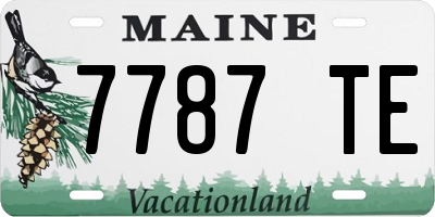 ME license plate 7787TE