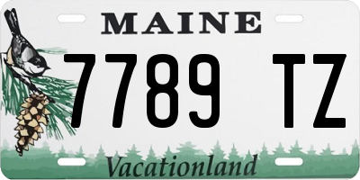ME license plate 7789TZ