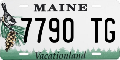 ME license plate 7790TG