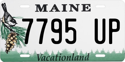 ME license plate 7795UP
