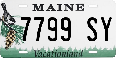 ME license plate 7799SY