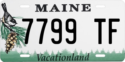 ME license plate 7799TF