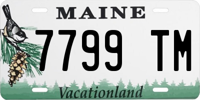 ME license plate 7799TM