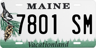 ME license plate 7801SM