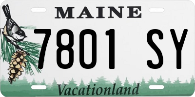 ME license plate 7801SY