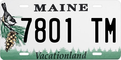 ME license plate 7801TM