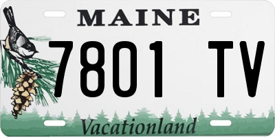 ME license plate 7801TV