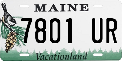 ME license plate 7801UR