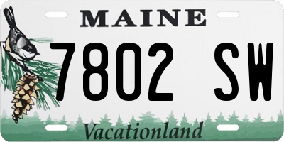 ME license plate 7802SW
