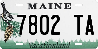 ME license plate 7802TA