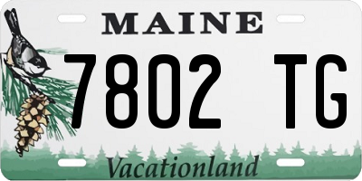 ME license plate 7802TG