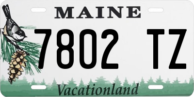 ME license plate 7802TZ