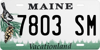 ME license plate 7803SM
