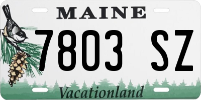 ME license plate 7803SZ
