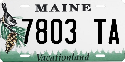 ME license plate 7803TA