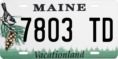 ME license plate 7803TD