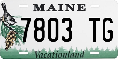 ME license plate 7803TG