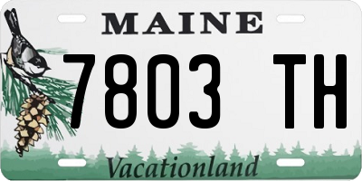 ME license plate 7803TH