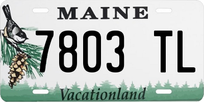 ME license plate 7803TL