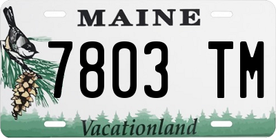 ME license plate 7803TM