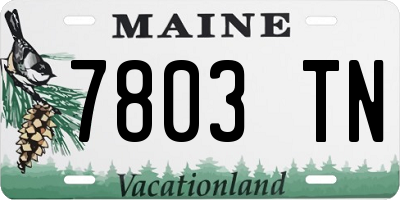 ME license plate 7803TN