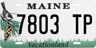 ME license plate 7803TP