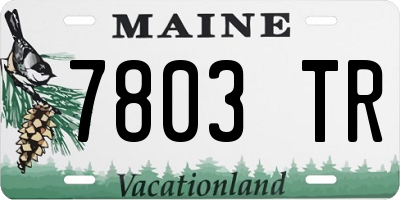 ME license plate 7803TR