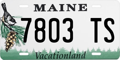 ME license plate 7803TS
