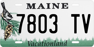 ME license plate 7803TV