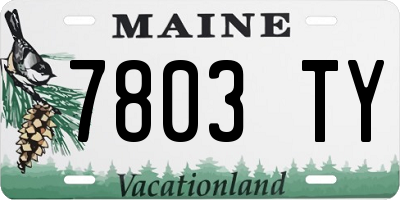 ME license plate 7803TY
