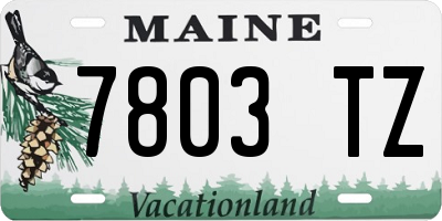 ME license plate 7803TZ