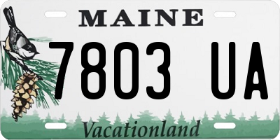 ME license plate 7803UA