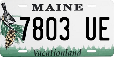 ME license plate 7803UE