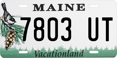 ME license plate 7803UT