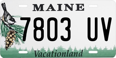 ME license plate 7803UV