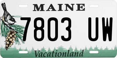 ME license plate 7803UW