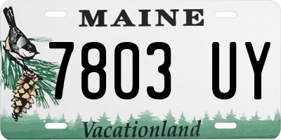 ME license plate 7803UY