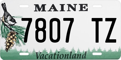 ME license plate 7807TZ
