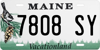 ME license plate 7808SY