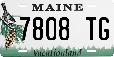ME license plate 7808TG
