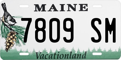 ME license plate 7809SM